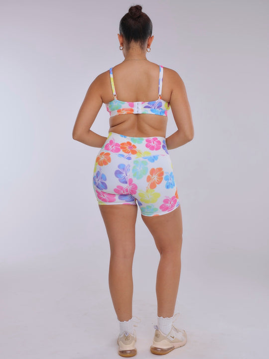 _Miccy,Large